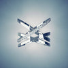 Diamonds Ring - white gold - GROMOV